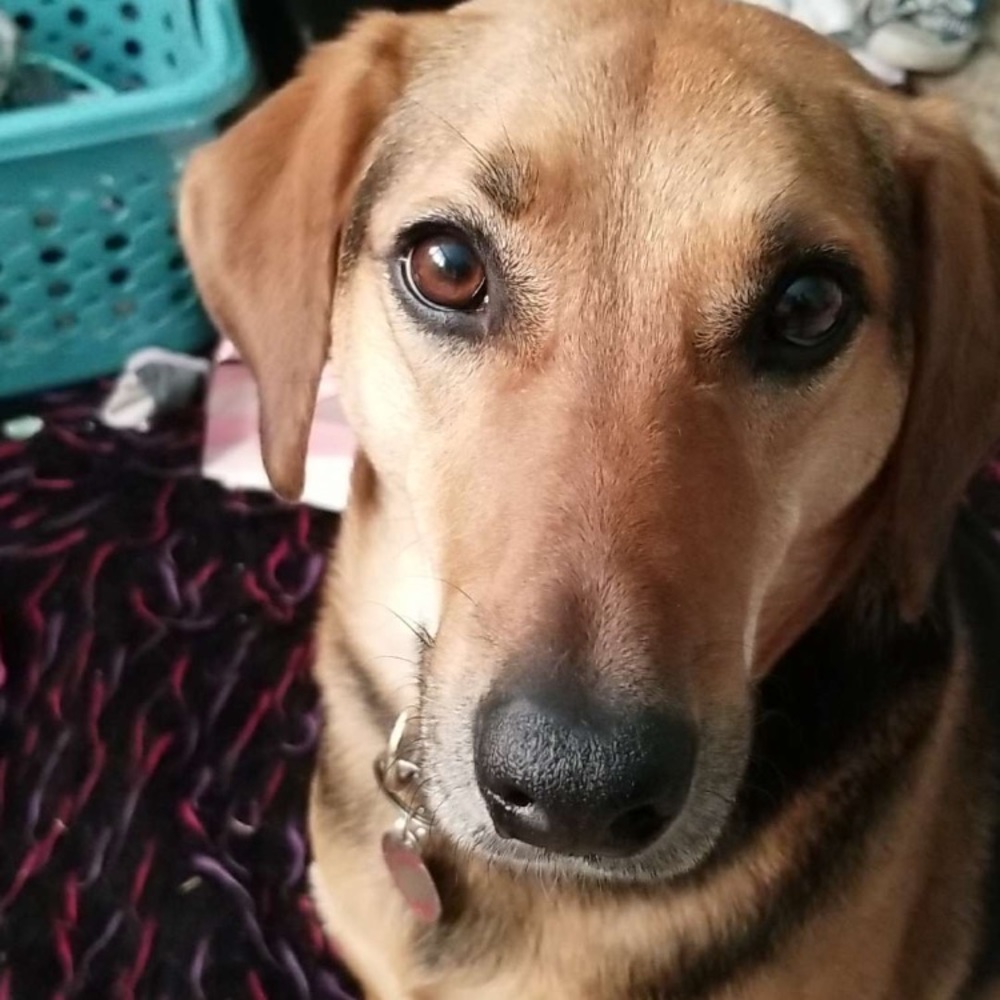 Meet your Posher, Bonnie